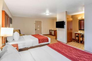 Comfort Inn Mount Shasta Area - 6