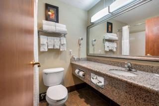 Comfort Suites Denver Tech Center - Centennial - 7