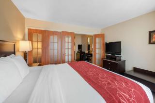 Comfort Suites Denver Tech Center - Centennial - 5