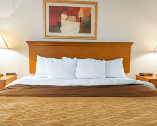 Quality Inn & Suites Near Amish Country - Rushville - 5