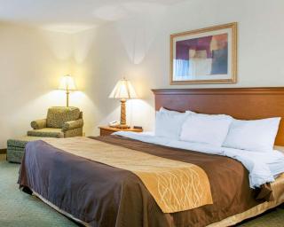 Quality Inn & Suites Near Amish Country - Rushville - 3