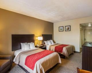 Quality Inn Hayti North - Hayti - 8