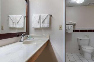 New Prague Inn & Suites, New Prauge - 4