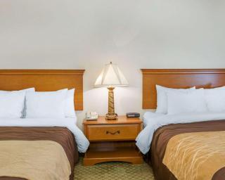 Quality Inn & Suites Near Amish Country - Rushville - 8