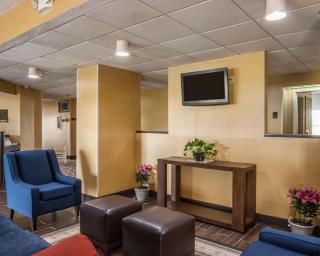 Quality Inn Hayti North - Hayti - 5