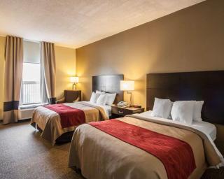 Quality Inn Hayti North - Hayti - 3