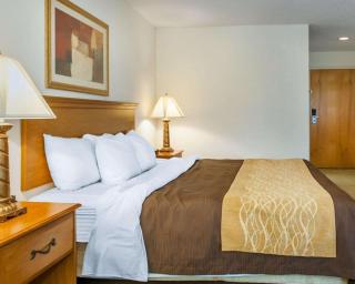 Quality Inn & Suites Near Amish Country - Rushville - 4