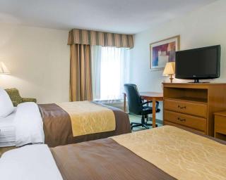 Quality Inn & Suites Near Amish Country - Rushville - 6