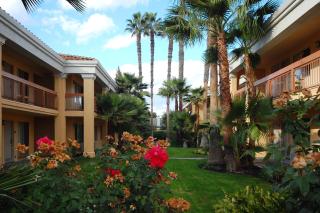 Best Western Palm Court Inn - Modesto - 9