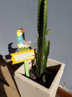 Aconchego de um Lar Hospedagem Domiciliar - Cabo Frío - 9