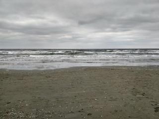 Apartament Mackerel - 7