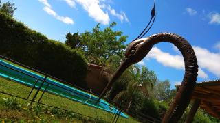 Tierra Mandarina Cabañas - 2