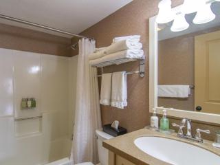 Spacious 2 Bed Condo at Crystal Mountain Resort - Thompsonville - 1