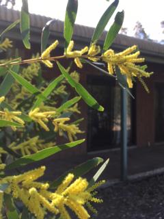 Hunter Valley Retreat - Quorrobolong - 2