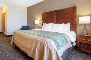 Comfort Inn & Suites Norman near University - Norman - 3