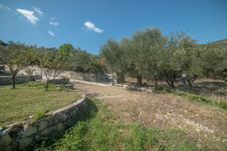 Nina's Olive House - 3