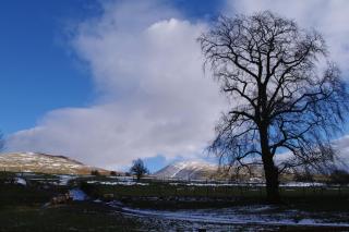 Ullathorns Farm - Kirkby Lonsdale - 3