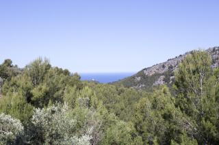 Villa Es Coco, Soller - Port de Sóller - 2