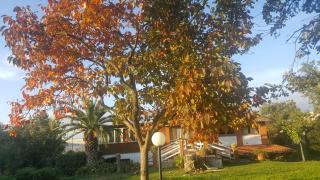 B&B Le Cinque Querce - Viterbo - 5