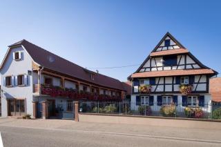 La Ferme de Louise - Hohengoeft - 9
