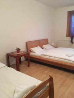 Holiday Park Vrchlabí - Liščí farma - Vrchlabí - 1
