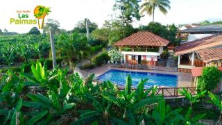 Eco Hotel las Palmas - Armenia - 9