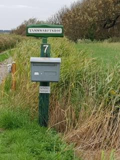 Tammwarftshof - Pellworm - 7