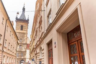 Wenceslas Square Royal Apartment - Prague - 2