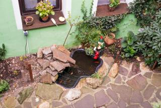 Rodinný hotel Myslivna - Třeboň - 5