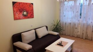 Gražinos apartamentai - Panevėžys - 8