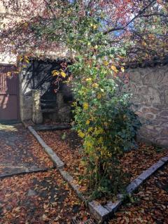 Casa Rural Soportales de Peguerinos - Peguerinos - 1