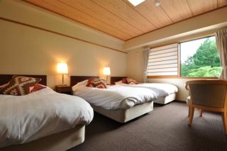 Hakuba Yamano Hotel - Hakuba - 2