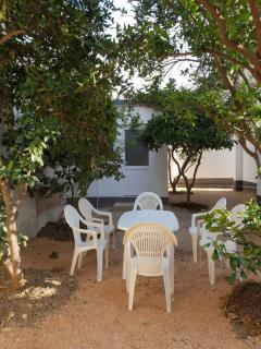 Bjela Villa - Bar - 7