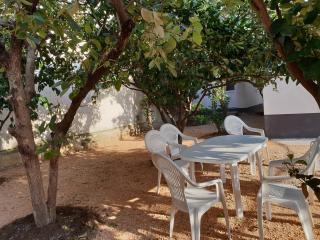 Bjela Villa - Bar - 6