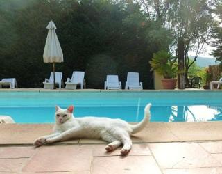 Gîte au calme, escale au Centre Var - 2