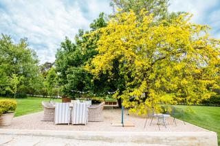 The Cottage - Mount Eliza - 4