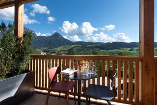 Hotel Garni Mitterstieler - Fié allo Sciliar - 1