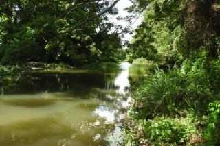 River Side Cabana - 5