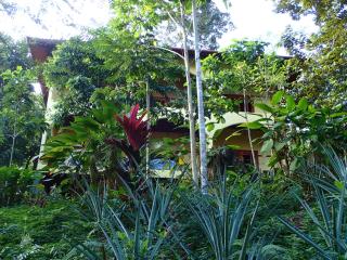 Morrillo Beach Eco Resort - Morrillo - 6