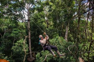 Avatar Amazon Lodge & Canopy Park - 5