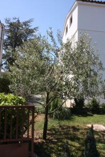 Apartments with a parking space Turanj, Biograd - 6212 - 1