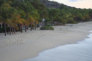 Treehouse Cottage - Five Islands Village - 3