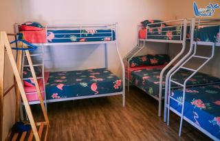 Ky Co Nhon Ly Summer House - Quy Nhon - 4