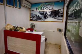 Pollock View Resort - Sungai Lembing - 8