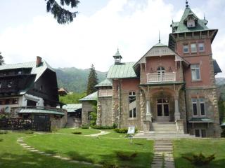 Vilele Lucia Luxury Mens Sana - Sinaia - 6