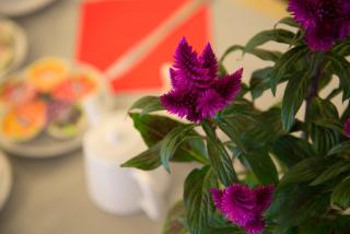 Hotel L'Escale - Aigues-Mortes - 6