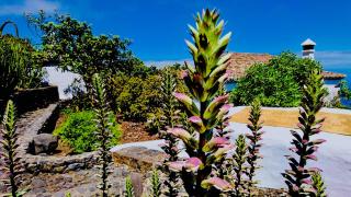 Finca Valentina - Tigalate - 6