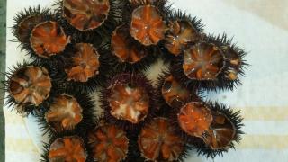 Casa Vacanza Alba 8-10 posti letto - 6