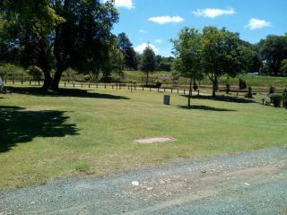 Sabie River Camp - 7