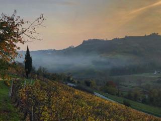 Panoramic Villa Garassino - country rooms and fine restaurant - Treiso - 3